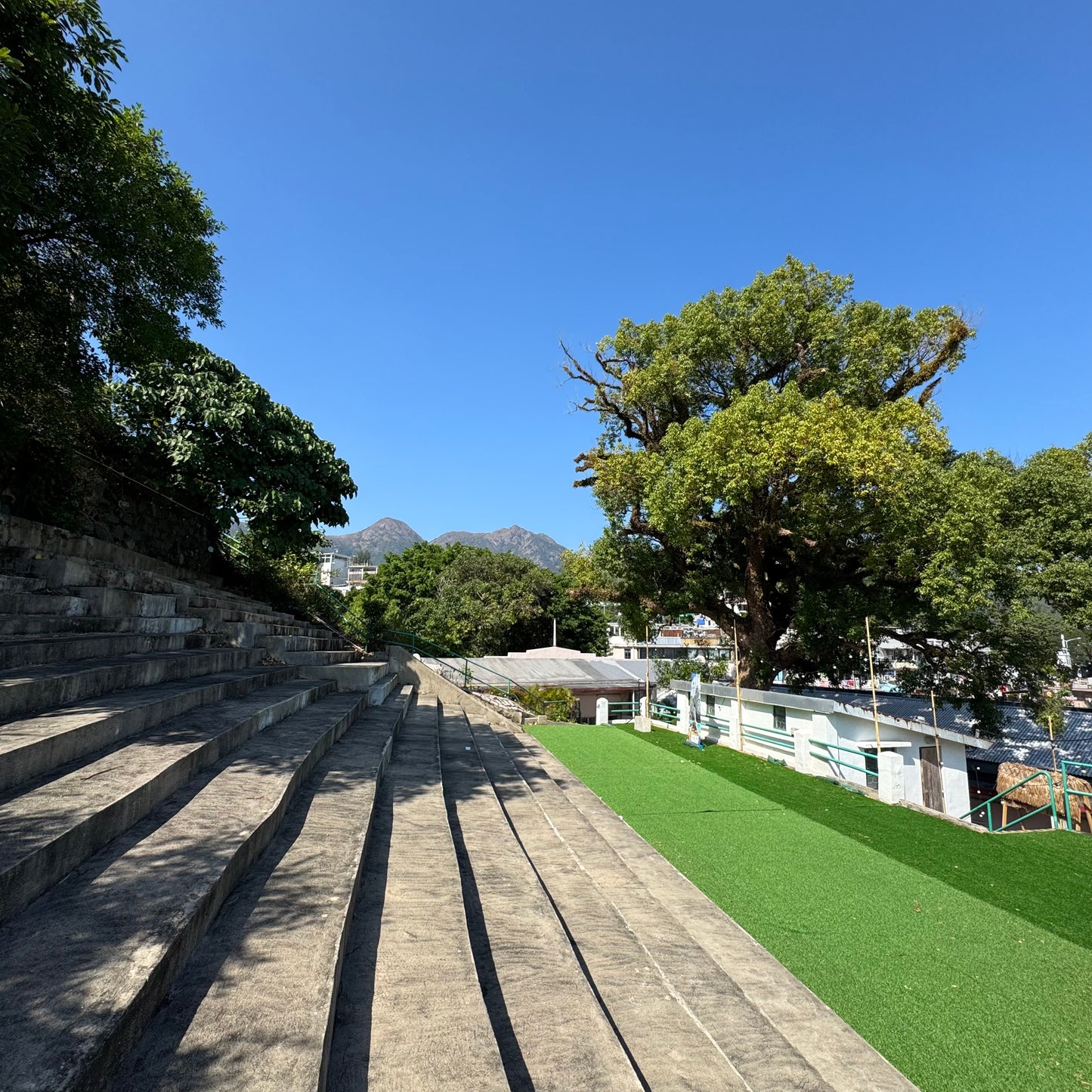 Sai Kung Guided Cultural, History, Food and Citywalk Experience