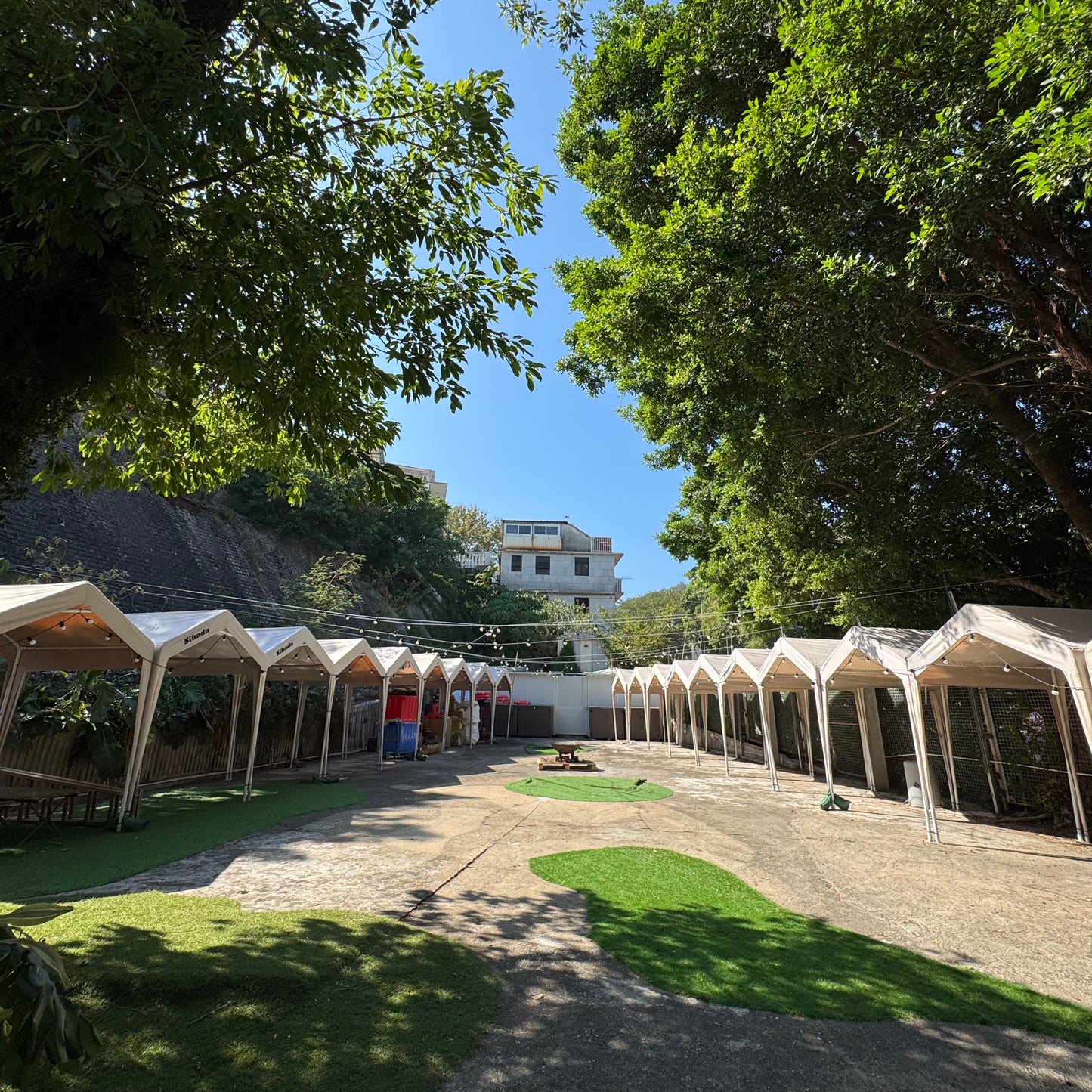 Sai Kung Guided Cultural, History, Food and Citywalk Experience